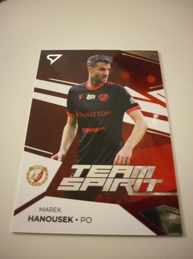 Zdjęcie oferty: Karty Ekstraklasa 2023/24 Team Spirit Hanousek