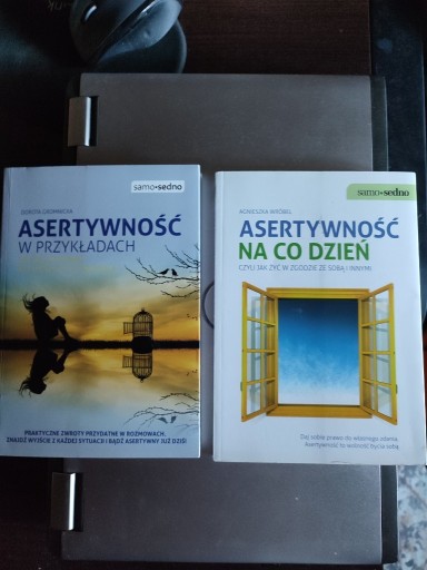 Zdjęcie oferty: Asertywność w przykładach  Asertywność na co dzień