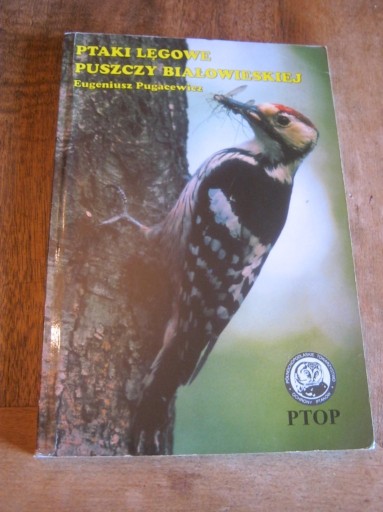 Zdjęcie oferty: Ptaki lęgowe Puszczy Białowieskiej -E. Pugacewicz