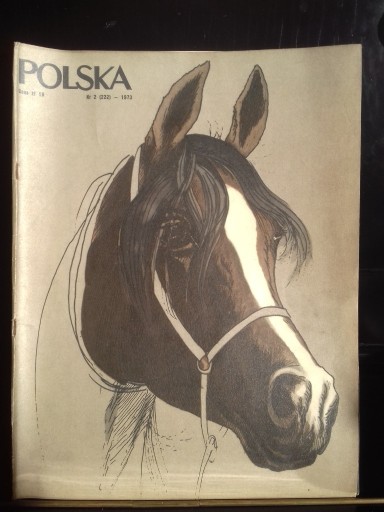 Zdjęcie oferty: MIESIĘCZNIK POLSKA   2 ( 222) -1973