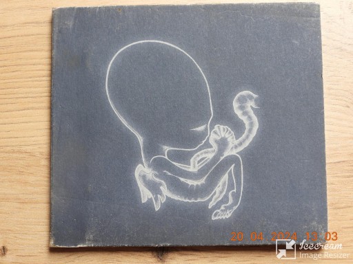 Zdjęcie oferty: SIGUR ROS--Ágætis byrjun  - CD