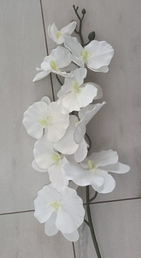Zdjęcie oferty: Gałązka storczyk biała 