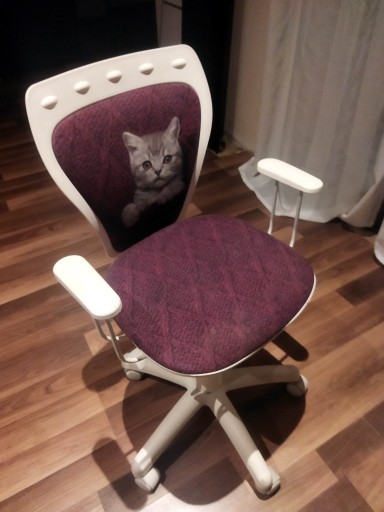 Zdjęcie oferty: Krzesło dla dzieci Ministyle Nowy styl