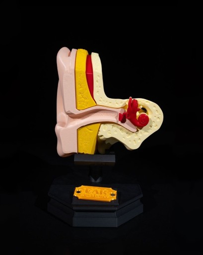 Zdjęcie oferty: Replika ucha wydrukowana w 3D