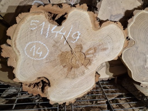 Zdjęcie oferty: AKACJA ROBINIA 51/44/9 cm Po Suszarni Blat Plaster Drewna Stolik DIY Suchy