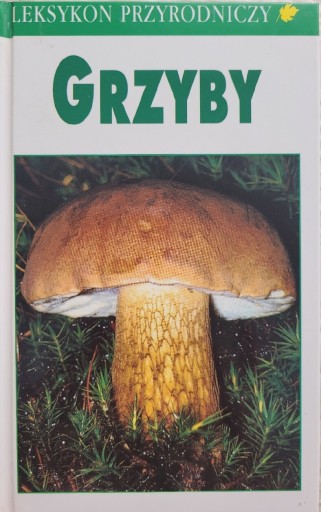 Zdjęcie oferty: Grzyby - Leksykon przyrodniczy 