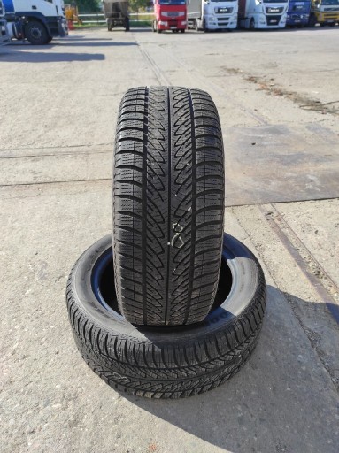 Zdjęcie oferty: Opony zimowe 225/50 R17 2szt Goodyear