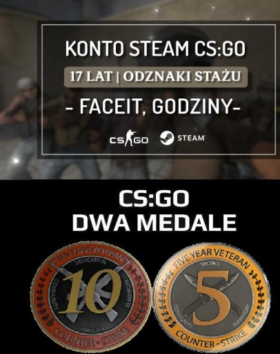 Zdjęcie oferty: KONTO STEAM Z CS:GO | CS2  17 LAT MEDALE GODZINY