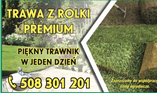 Zdjęcie oferty: Trawa w rolce PREMIUM trawa z rolki TRAWA