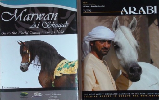 Zdjęcie oferty: TUTTO ARABI nr 6/2008, konie arabskie