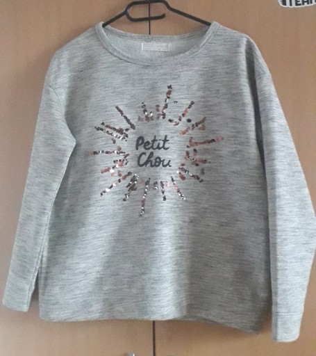 Zdjęcie oferty: Bluza Zara Girls 164, 13/14 lat