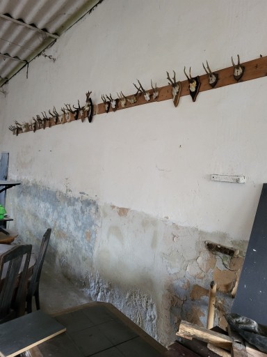 Zdjęcie oferty: Rożki koziołków ,dekoracja na ścianę
