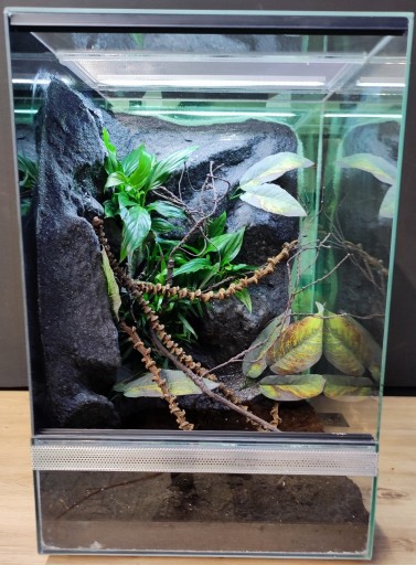Zdjęcie oferty: Terrarium dla gekona żaby 40x40x60 