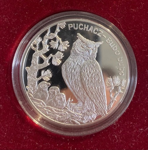 Zdjęcie oferty: 20 zł moneta srebrna PUCHACZ