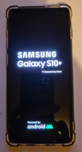 Zdjęcie oferty: Samsung Galaxy S10 + uszkodzony