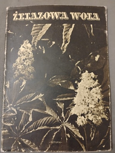 Zdjęcie oferty: Żelazowa Wola Wydawnictwo Sztuka Warszawa 1955 