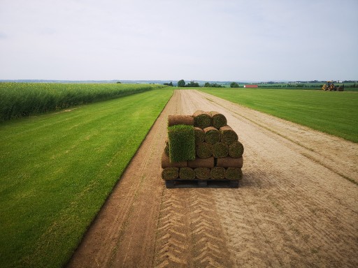 Zdjęcie oferty: Trawa w rolce , trawniki rolowane , trawa z rolki