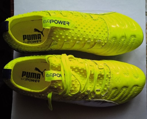 Zdjęcie oferty: Buty sportowe Puma EvoPower