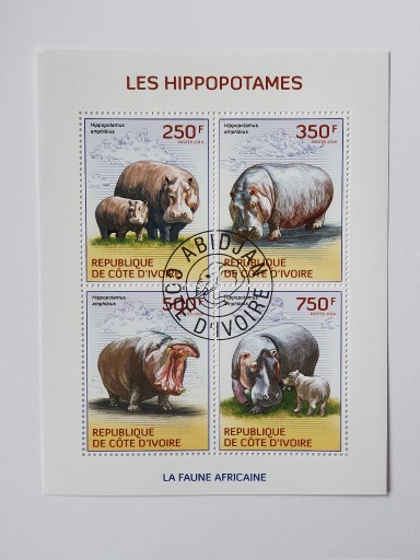 Zdjęcie oferty: (1697) blok hipopotan