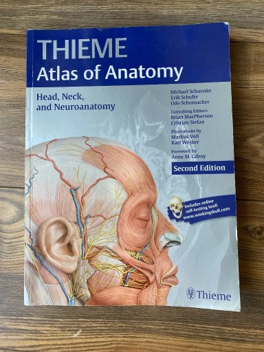 Zdjęcie oferty: Thieme Atlas of Anatomy Head and neck 2016