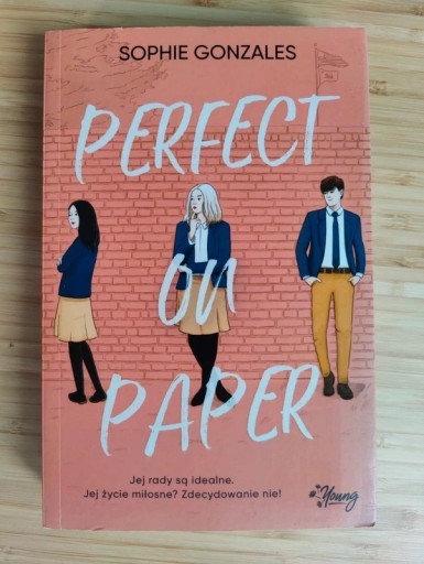 Zdjęcie oferty: Sprzedam książkę Perfect on paper. Sophie Gonzales