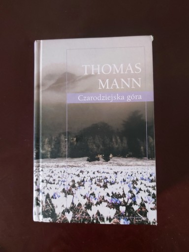 Zdjęcie oferty: Thomas Mann: Czarodziejska góra