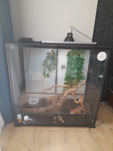 Zdjęcie oferty: Terrarium dla kameleona