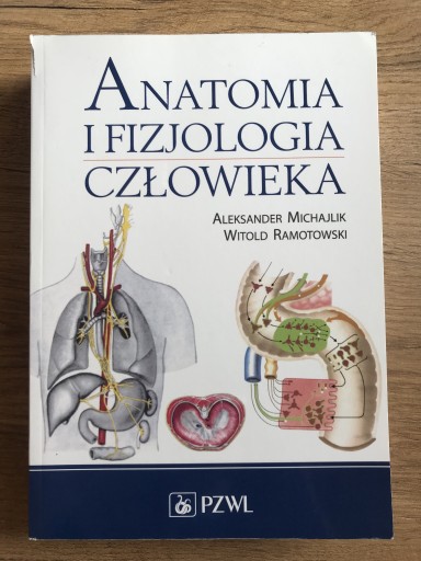 Zdjęcie oferty: Anatomia i fizjologia człowieka Ramotowski 