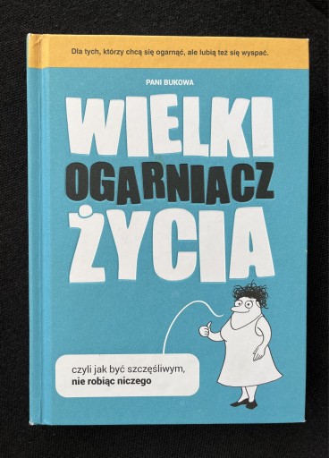 Zdjęcie oferty: Wielki ogarniacz życia poradnik 