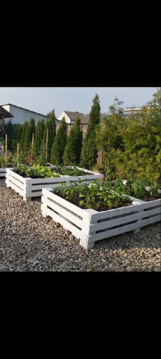 Zdjęcie oferty: Donica warzywniak ogrodowy z drewna