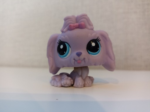 Zdjęcie oferty: Littlest pet shop pies Maltańczyk #2192+ dodatek 