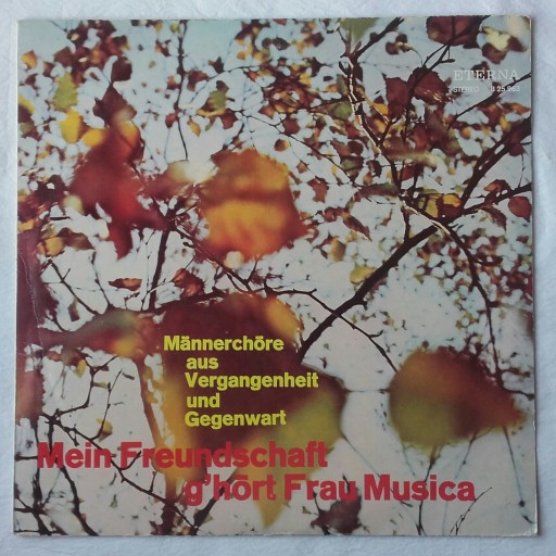 Zdjęcie oferty: Chóry Męskie z przeszłości i teraźniejszości, winyl 1971 r.