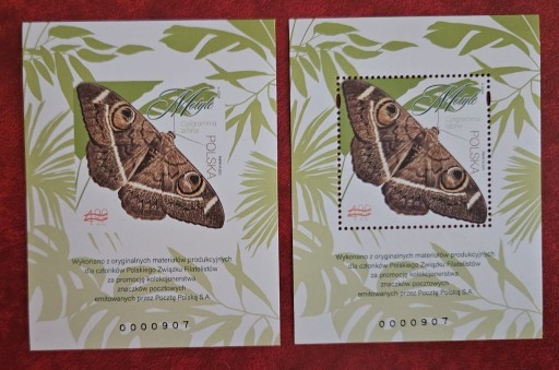 Zdjęcie oferty: Fi: 5455** ND AB. Motyle - Ćma.