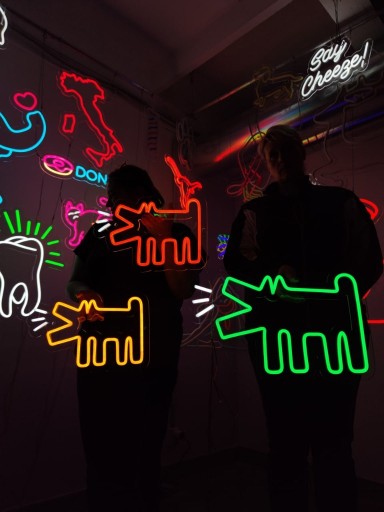 Zdjęcie oferty: Neon Ozdoba na Ścianę - Piesek LED 
