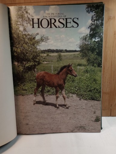 Zdjęcie oferty: The pictorial encyklopedia of horses hipologia