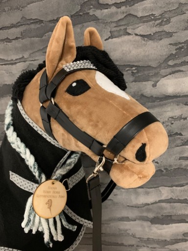 Zdjęcie oferty: Hobby horse Texas 