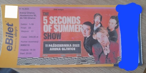 Zdjęcie oferty: Bilet na koncert 5 seconds of summer