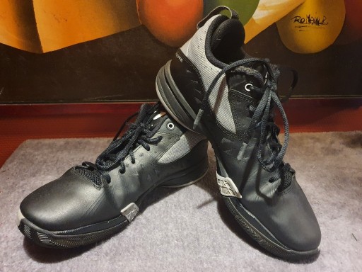 Zdjęcie oferty: Skórzane buty sportowe NIKE FLYWIRE rozm. 42 