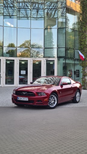 Zdjęcie oferty: Czerwony mustang do ślubu, na sesję, 18stkę 