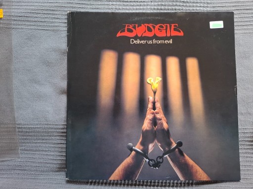 Zdjęcie oferty: Budgie - Deliver Us From Evil  HOL 1Press  NM