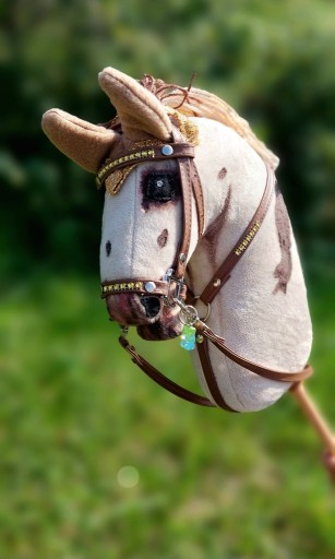 Zdjęcie oferty: Hobby horse ,nauszniki ,oglowie hackamore,plecak!