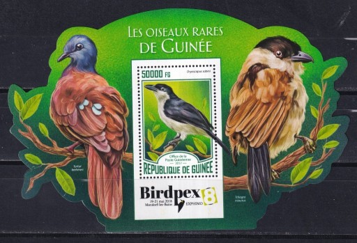 Zdjęcie oferty: Gwinea 2017** cena 9,90 zł - ptaki, blok
