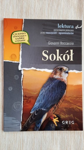 Zdjęcie oferty: Sokół - Giovanni Boccaccio