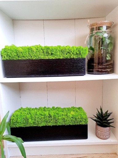 Zdjęcie oferty: Czarna donica z chrobotkiem 40 cm, dekoracja na parapet półkę, industrial 