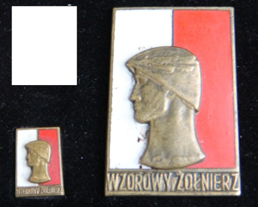 Zdjęcie oferty: Komplet brązowych odznak Wzorowy Żolnierz wz.1961