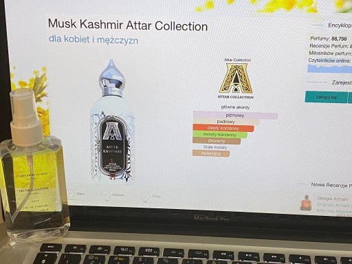 Zdjęcie oferty: Attar Musk Kashmir 