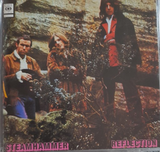 Zdjęcie oferty: cd Steamhammer-Steamhammer.