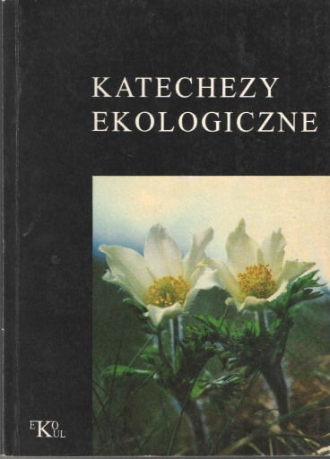 Zdjęcie oferty: Katechezy ekologiczne