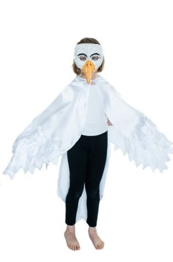 Zdjęcie oferty: Orzeł strój przebranie maska ze skrzydłami komplet