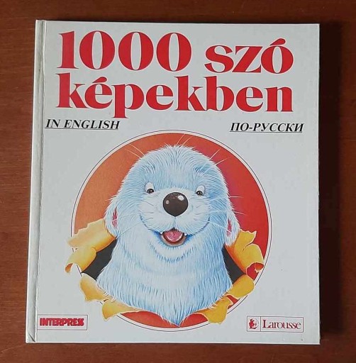 Zdjęcie oferty: 1000 słów w obrazkach | nauka angielski rosyjski